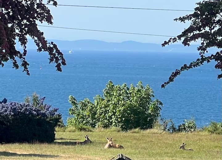 Prime! Ocean View, Mountain Views! 
Wildlife! - Port Angeles, WA