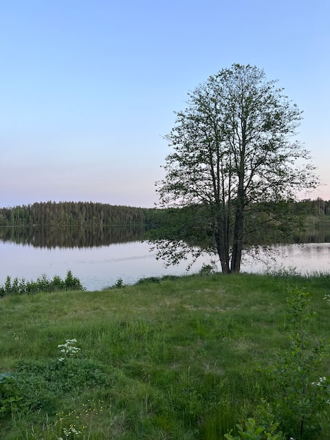 Lakeside wing in beautiful environment