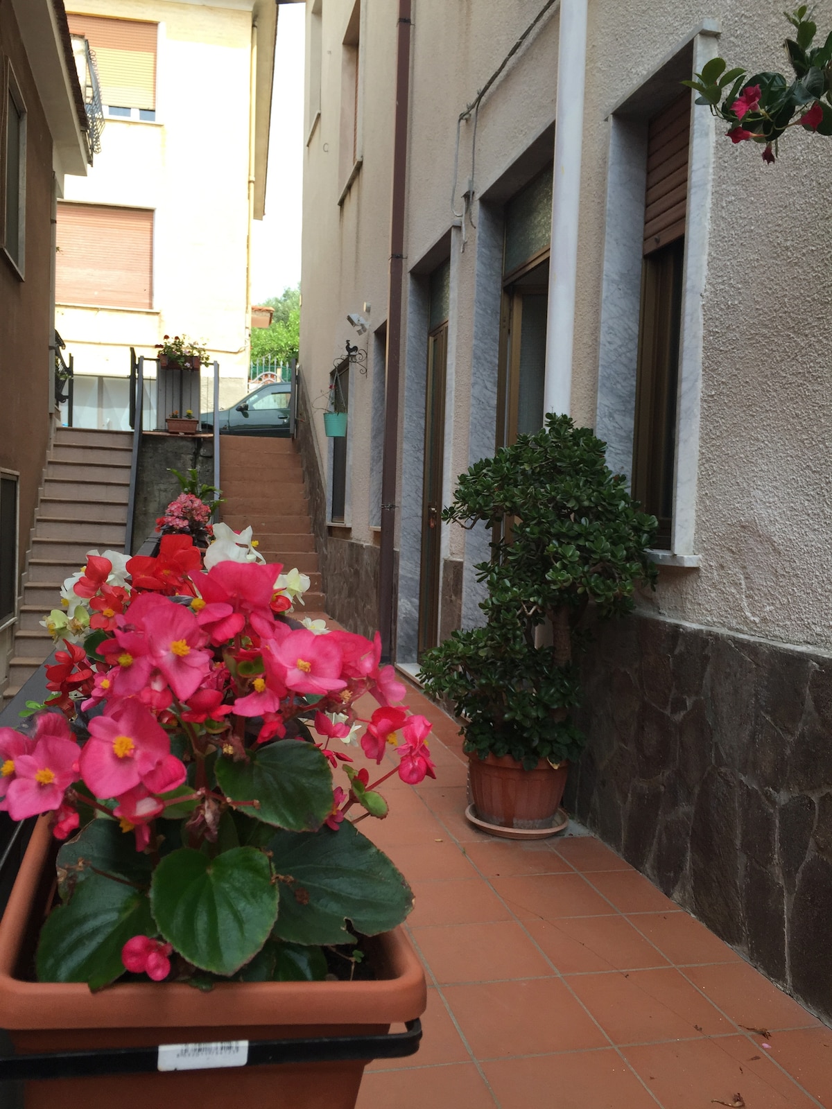 A walkway is framed by potted flowers in vibrant shades of pink, creating a welcoming entrance. The pathway leads to a staircase, flanked by potted plants that add greenery. Large windows allow for natural light to fill the space, enhancing the overall ambiance.