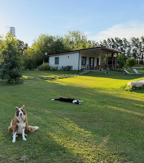 cozy and modern country house