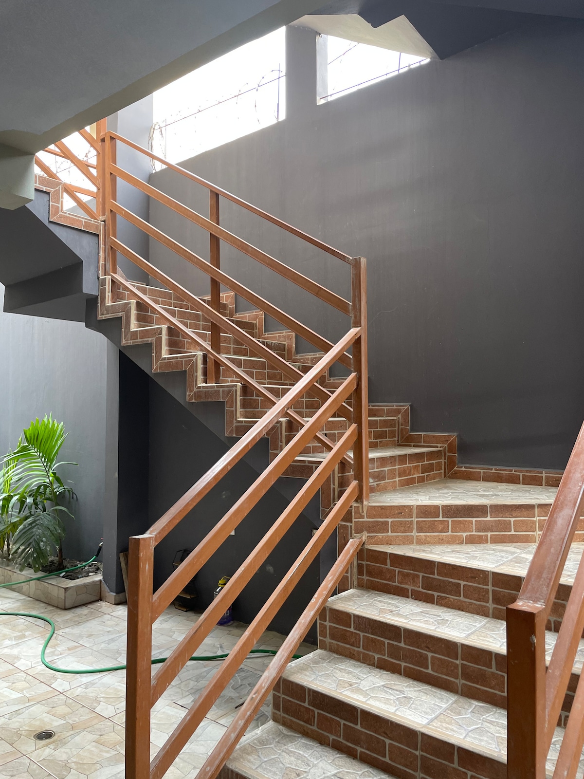 A staircase is prominently featured, with wooden railings framing the ascent. The steps are made of a textured tile, complemented by a small plant positioned at the base. Natural light is allowed in through large windows, highlighting the rich colors of the walls and flooring.