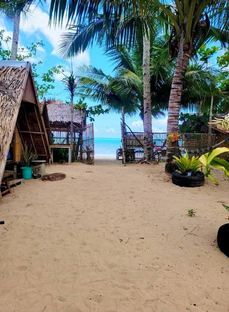 A sandy pathway extends through palm trees, leading to a serene beach. The vibrant blue sea is visible in the distance, complemented by a clear sky with scattered clouds. Natural shades created by nearby foliage add a tropical feel.