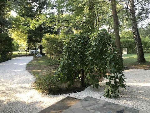 Bauhaus & park