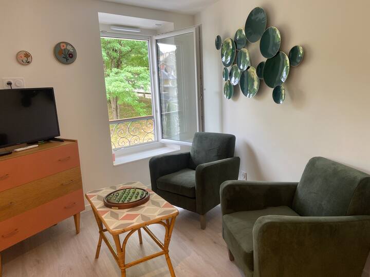 Le Studio 17, Idéal Pour Curiste - Aix-les-Bains