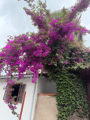 Thais Fernandes managed Airbnb listing 3