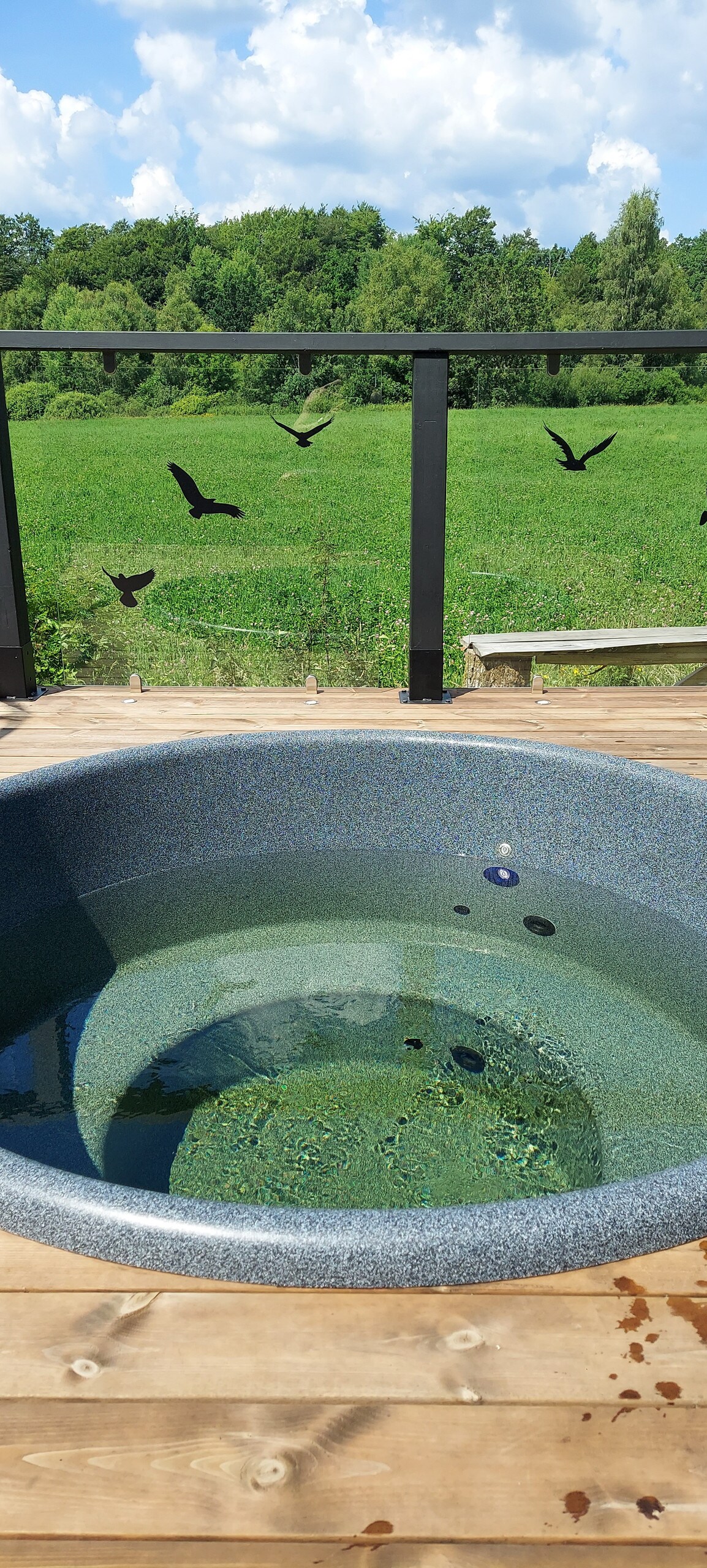 A round, gas-heated hot tub is positioned on a wooden deck, featuring clear water and a smooth, rim. A decorative glass railing adorned with silhouettes of birds offers an unobstructed view of the lush green fields beyond.