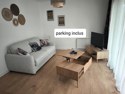 Successful Airbnb property: 25 m2 studio facing the pier, parking included in évian Les Bains