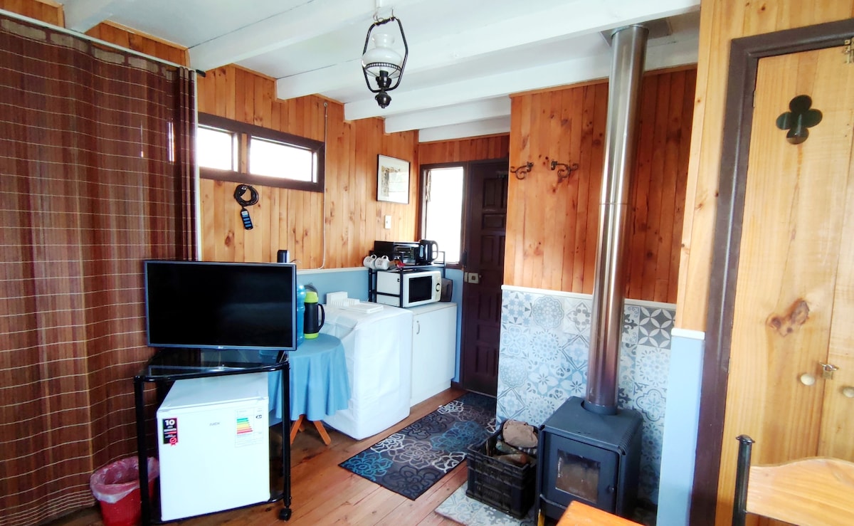 A cozy living space is shown, featuring a television on a stand, a compact refrigerator, and a microwave. A wood-burning stove is situated nearby, with patterned tiles around its base. Light streams in through two windows, while a curtain adds privacy. A doorway leads outside.