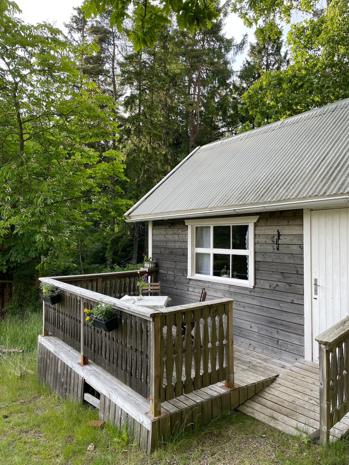 A wooden guesthouse is depicted, featuring a sloped roof and a front porch with a railing. A small table and chair are positioned on the porch, and flowerboxes are attached to the railing. Lush greenery surrounds the structure, enhancing the natural setting.