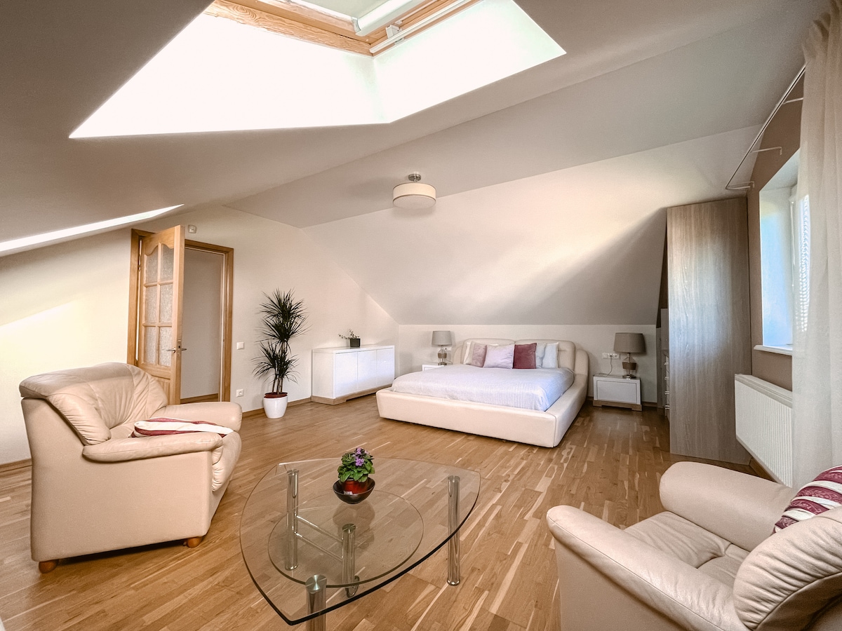 An airy room features a spacious bed positioned against a light wall. Two armchairs are placed near a glass table, creating a cozy seating area. Natural light floods in through a skylight, illuminating the wooden flooring and plant in the corner.