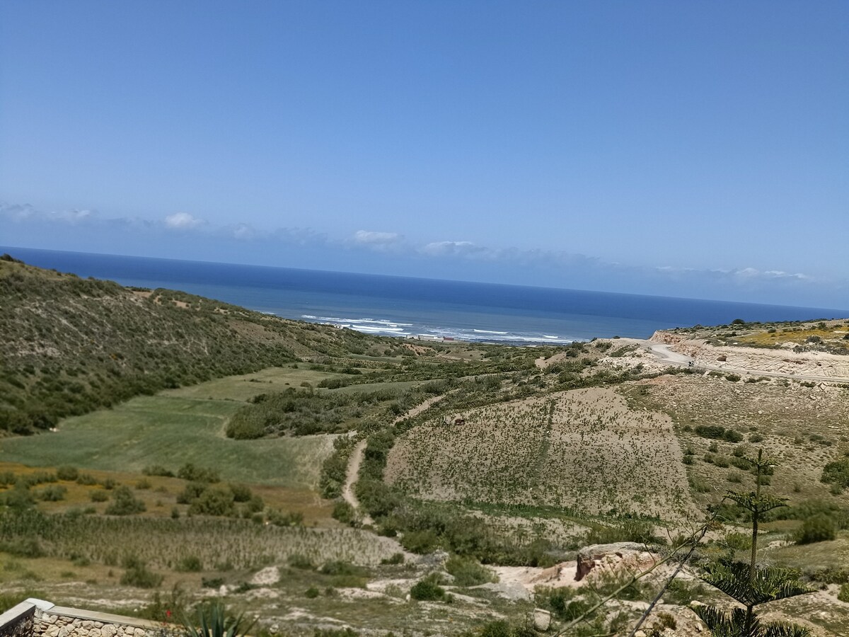 A panoramic view of the coastline is presented, showcasing a vast expanse of ocean meeting the horizon. Lush green fields and rolling hills are visible in the foreground, while gentle waves can be seen lapping against the shore in the distance.