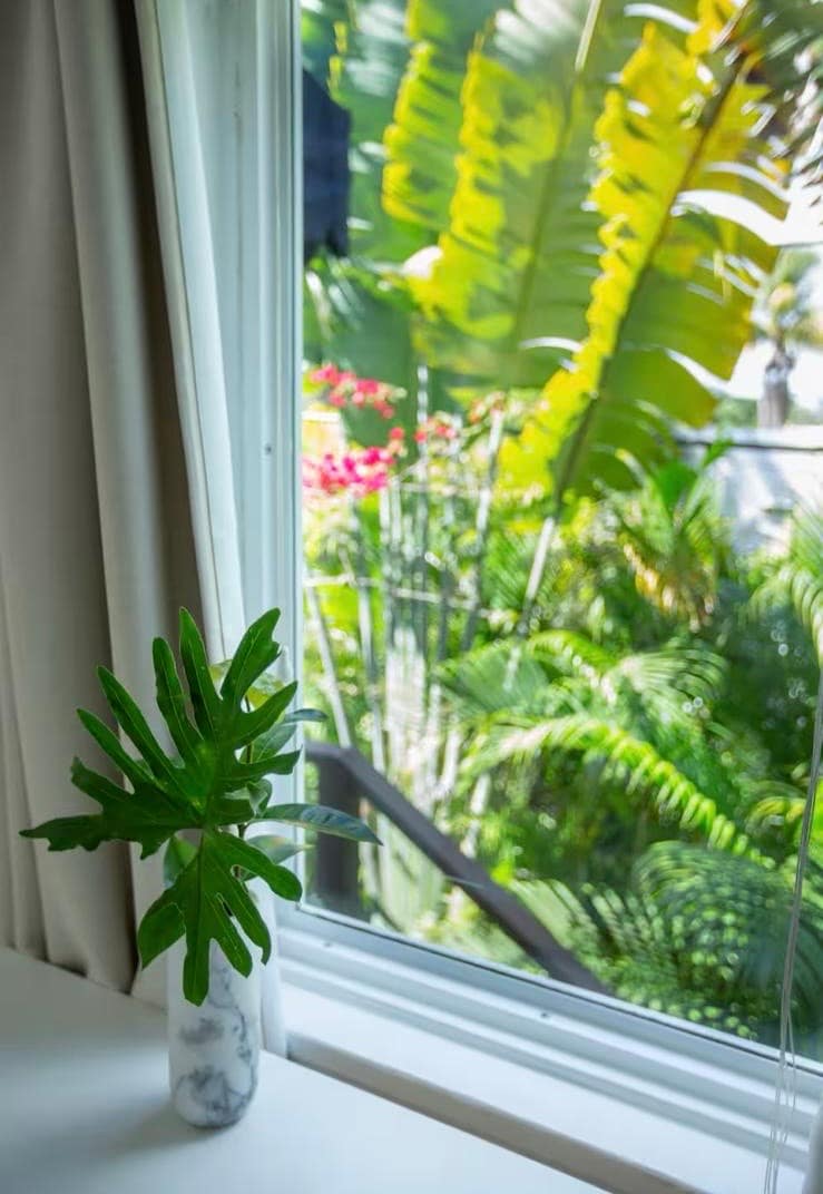 A view from the window features lush greenery, with large tropical leaves and vibrant flowers visible outside. A small potted plant is placed on the window sill, adding a touch of nature to the interior space.