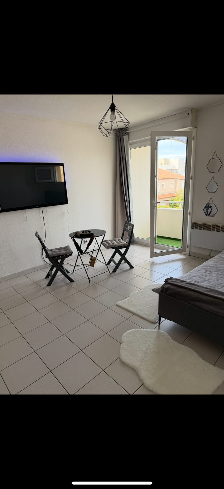 Magnifique Appartement Spacieux - 蒙彼利埃