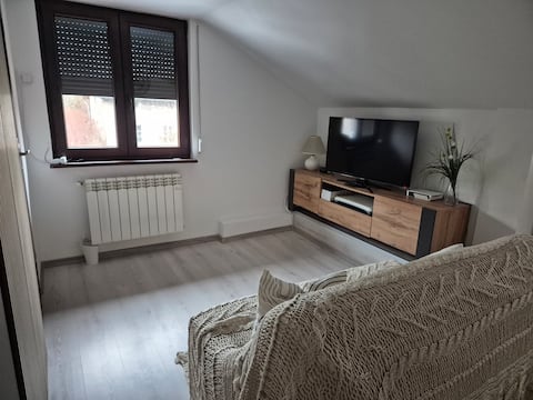 Top Airbnb: Spacious Family Home with front Garden in Szopienice Burowiec