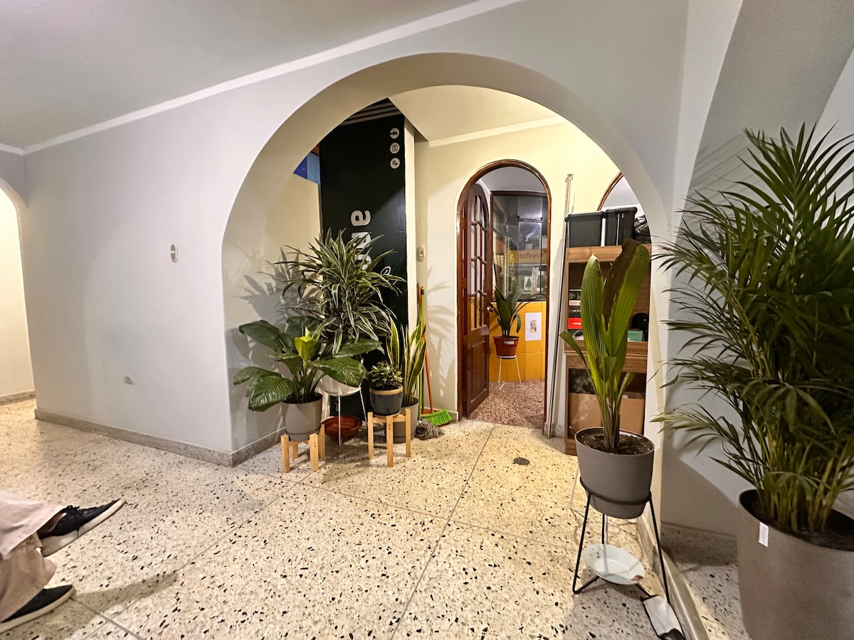 An inviting hallway is framed by an arched entryway, featuring a combination of potted plants in various sizes. Light enters from an adjacent room, casting a warm glow on the polished stone floor.