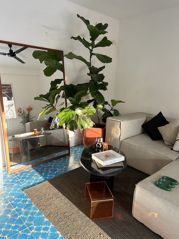 Belle Grande Maison Dans Le Meilleur Quartier ! - Oaxaca