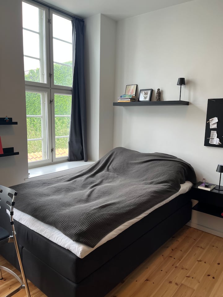 Bright N Cozy Frederiksberg Flat - Copenhague