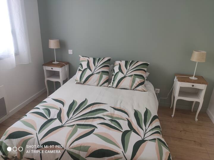 Habitación 1