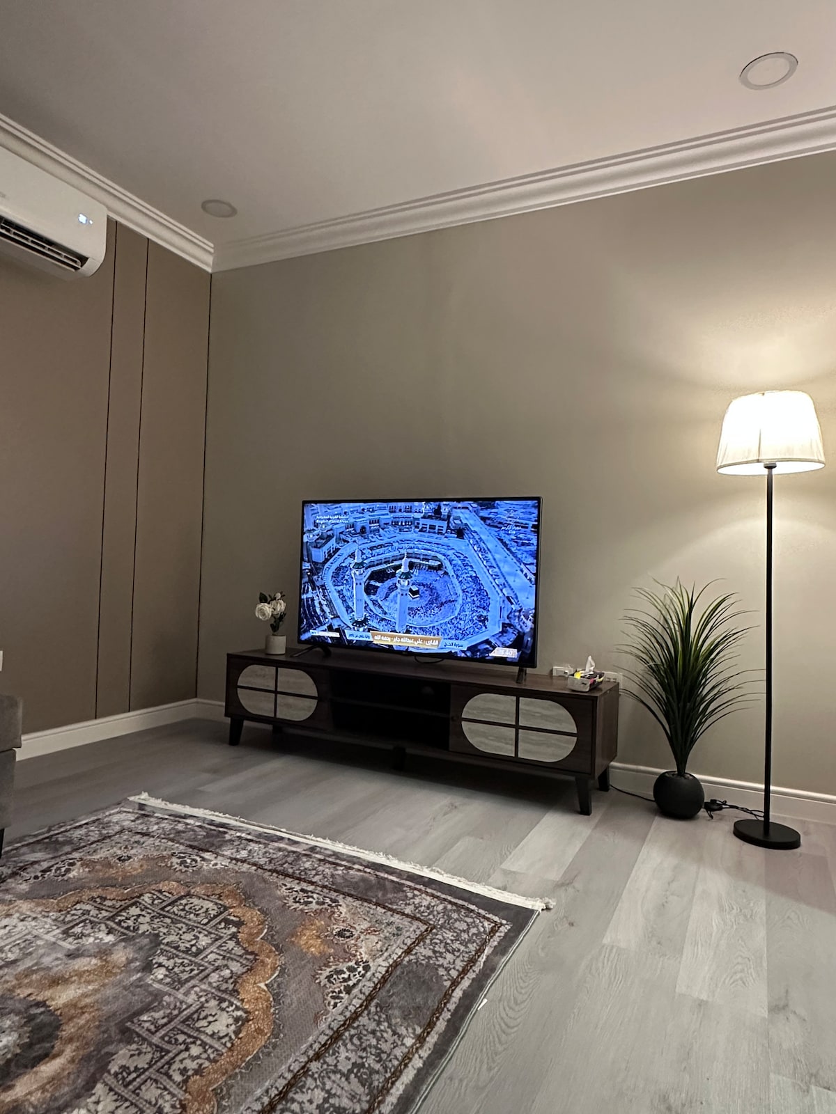 A cozy living area features a modern television displaying a scenic view, positioned on a contemporary wooden TV stand. A tall floor lamp provides soft illumination beside a potted plant. A decorative rug with intricate patterns enhances the space beneath.