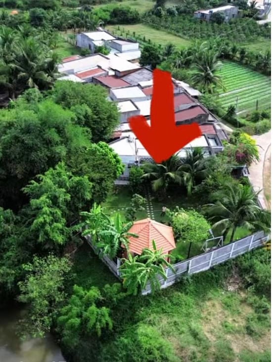 An aerial view showcases a green area surrounded by palm trees and foliage. A small structure with a red roof can be seen within the enclosed yard, while a path leads away from the property towards fields in the background.