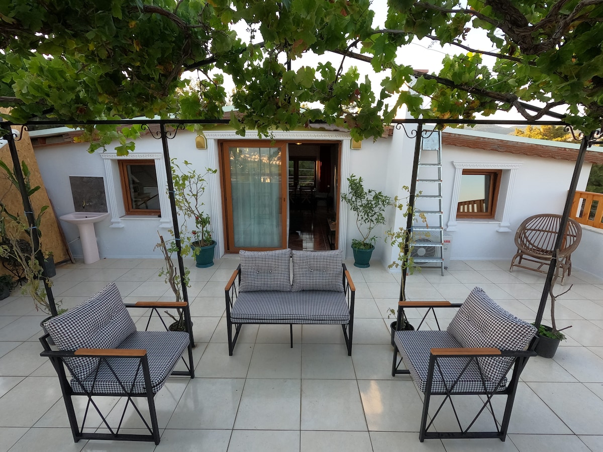 A spacious terrace is framed by leafy vines, creating a shaded area with four chairs and a sofa arranged for relaxation. Potted plants add greenery to the space. A door leads into the interior, with a subtle glimpse of the home visible through the glass.
