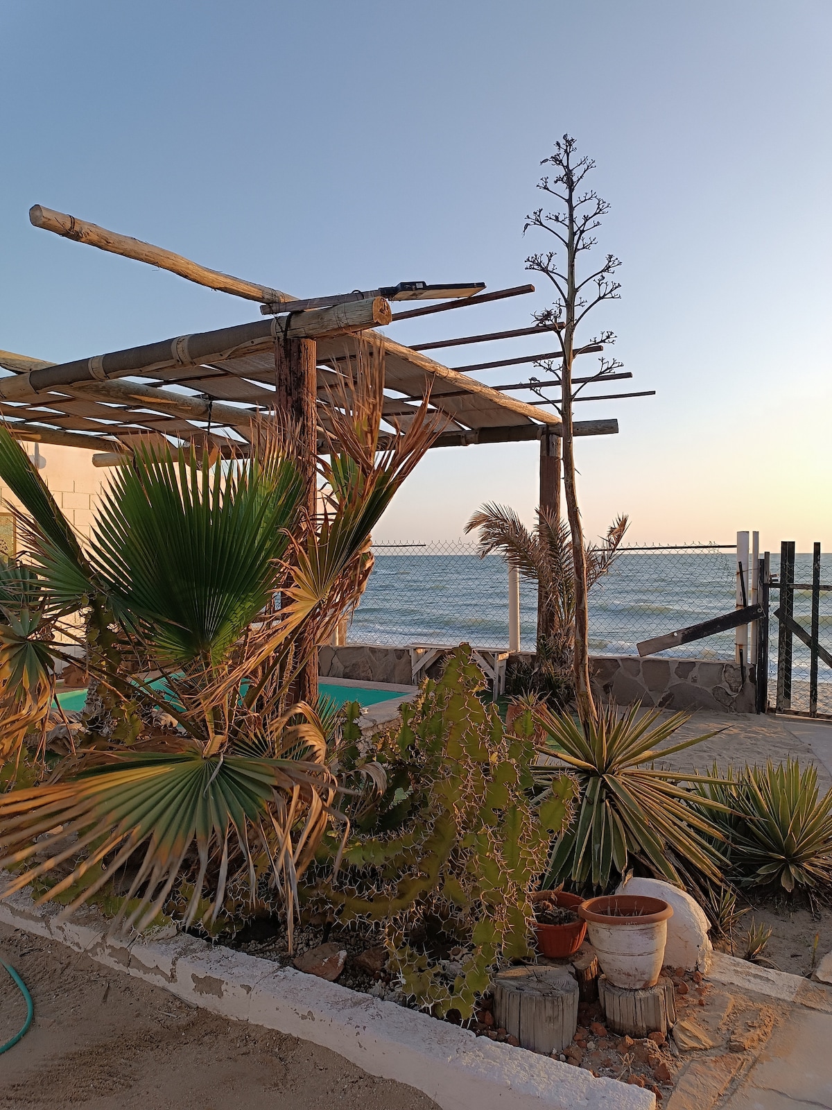 A coastal landscape featuring native plants, including cacti and palms, is highlighted. A wooden pergola provides shade, while the serene sea appears in the background under a colorful sky. The area suggests a natural and inviting atmosphere for relaxation.