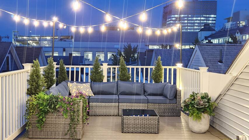 Duplex Rooftop MIT/Kendall/Harvard 2 FREE Parking! gallery image 5