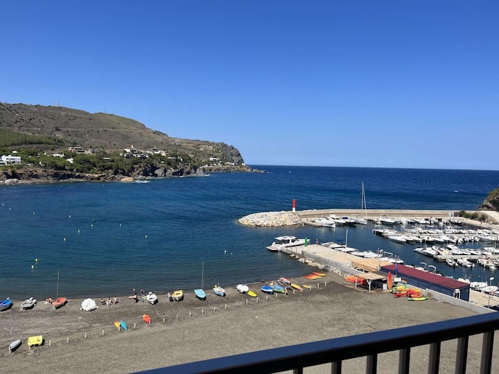 ÀTic A Primera Línia De Mar - Cerbère