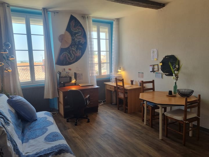 T2 Fun & Cosy - Gaillac