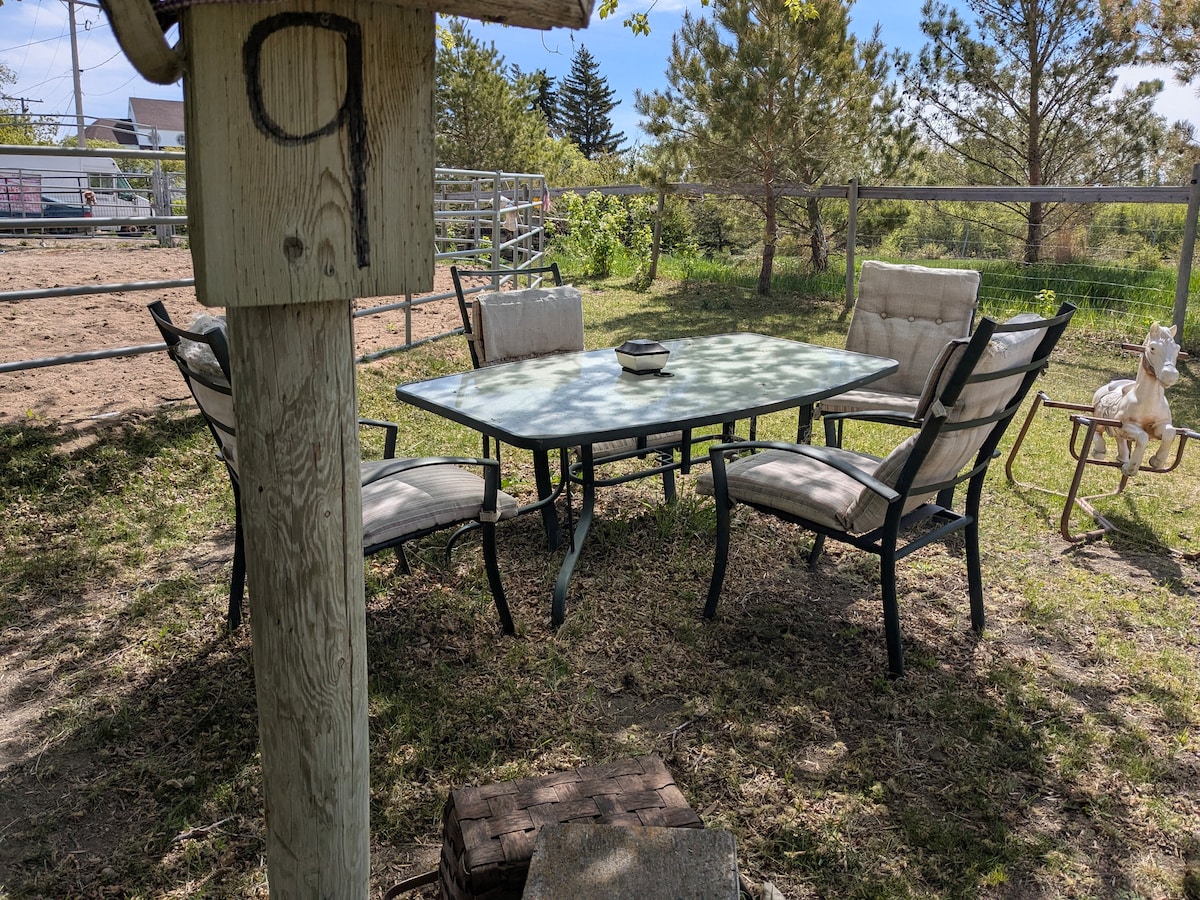A shaded outdoor seating area is featured, complete with a rectangular table surrounded by four cushioned chairs. Natural elements are visible, including grass and trees, enhancing the serene atmosphere. A small decorative horse is positioned nearby, adding a whimsical touch to the setting.