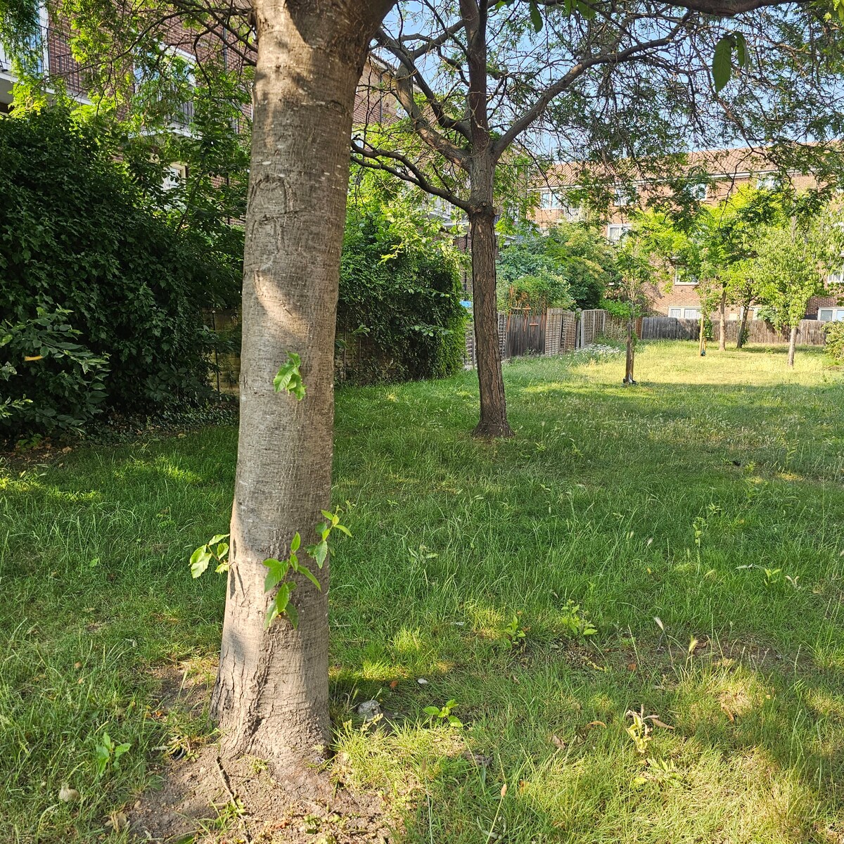 Immagine 70 della stanza