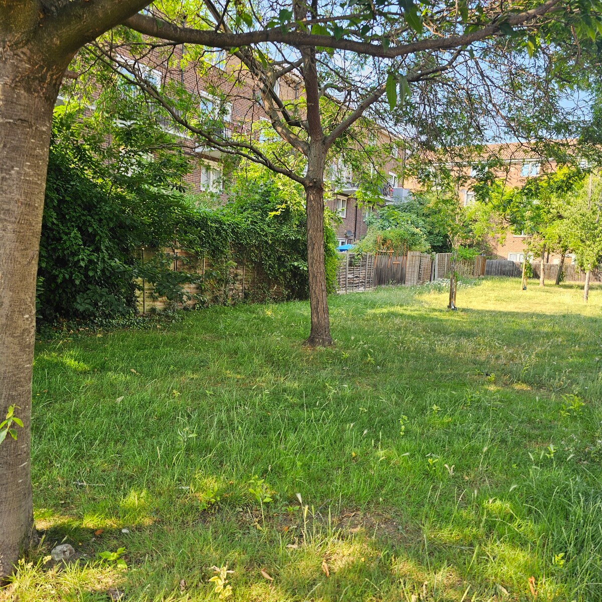 Immagine 6 della stanza