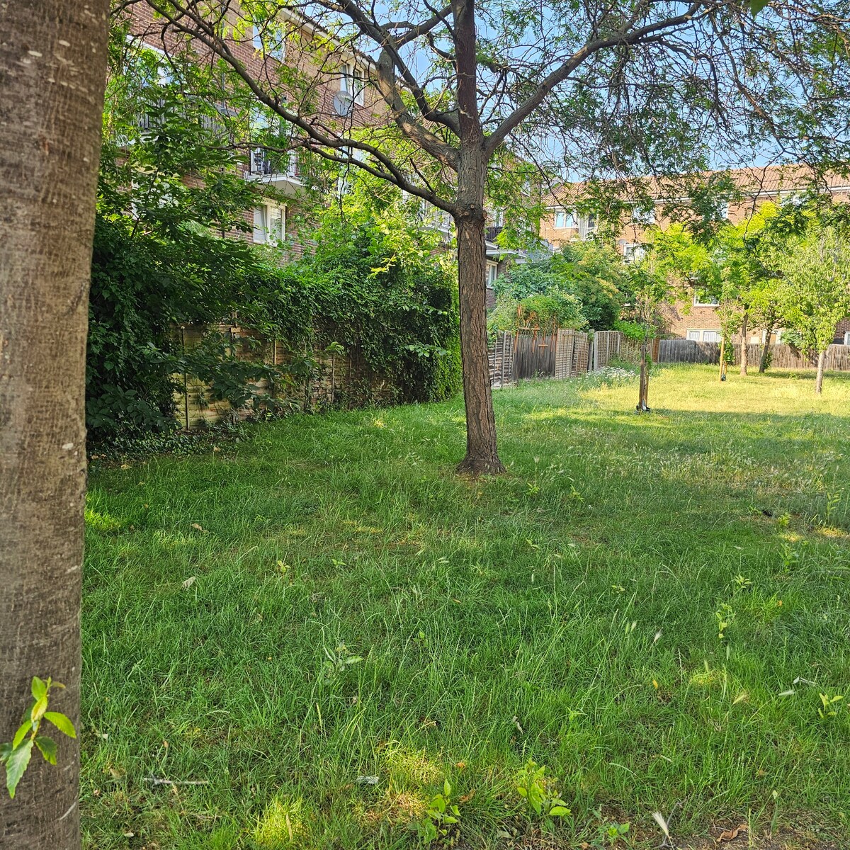 Immagine 69 della stanza