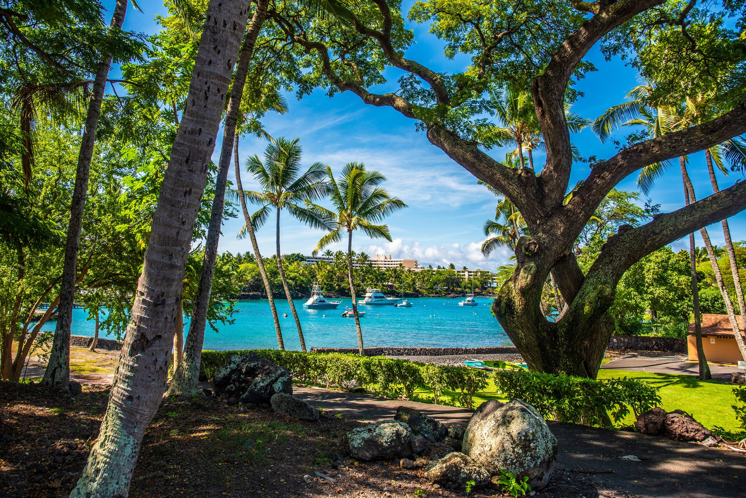 BRANDNew! Kona Bungalow II! Aug specials. Inquire! - Photo 34
