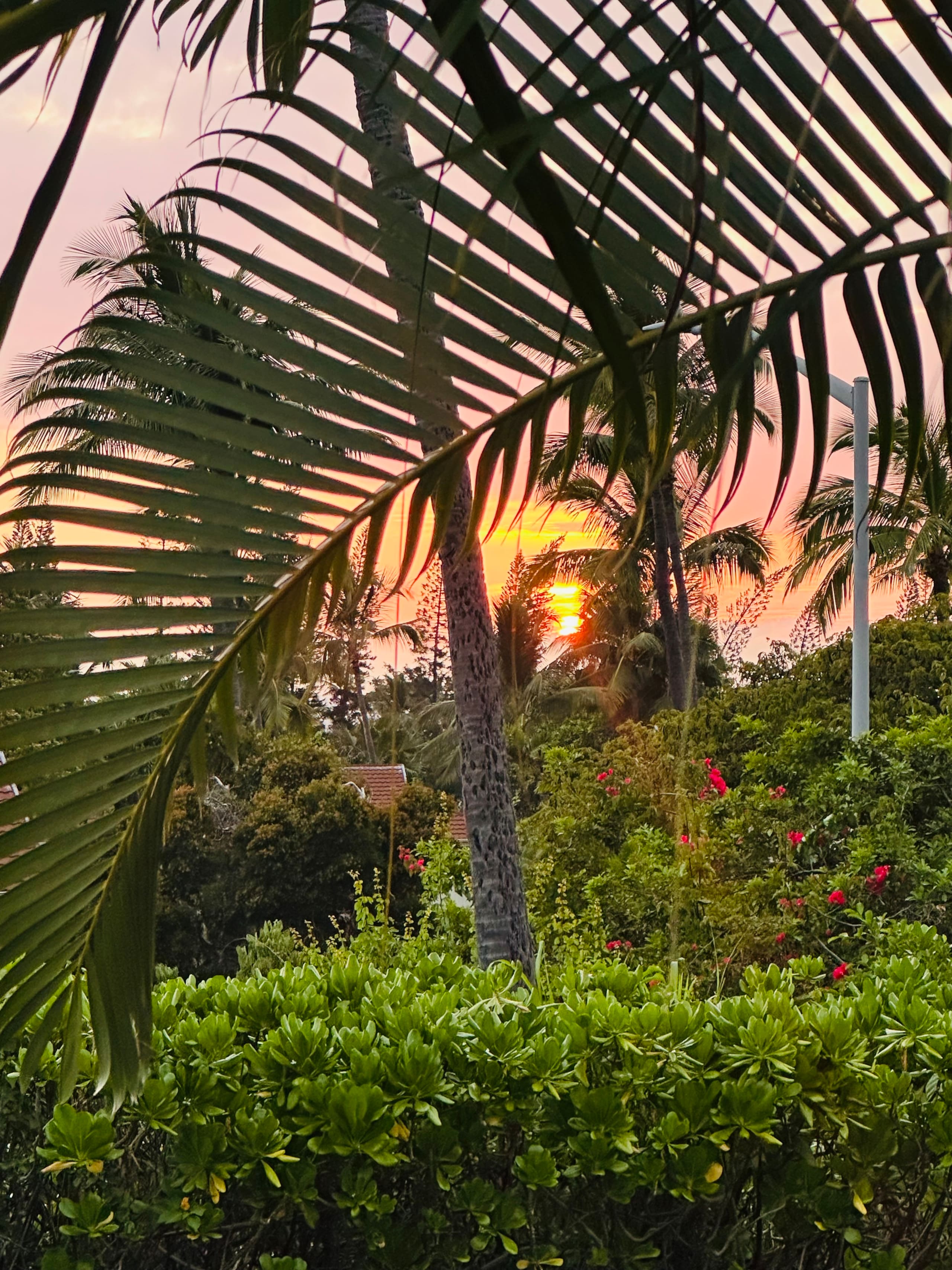 BRANDNew! Kona Bungalow II! Aug specials. Inquire! - Photo 38