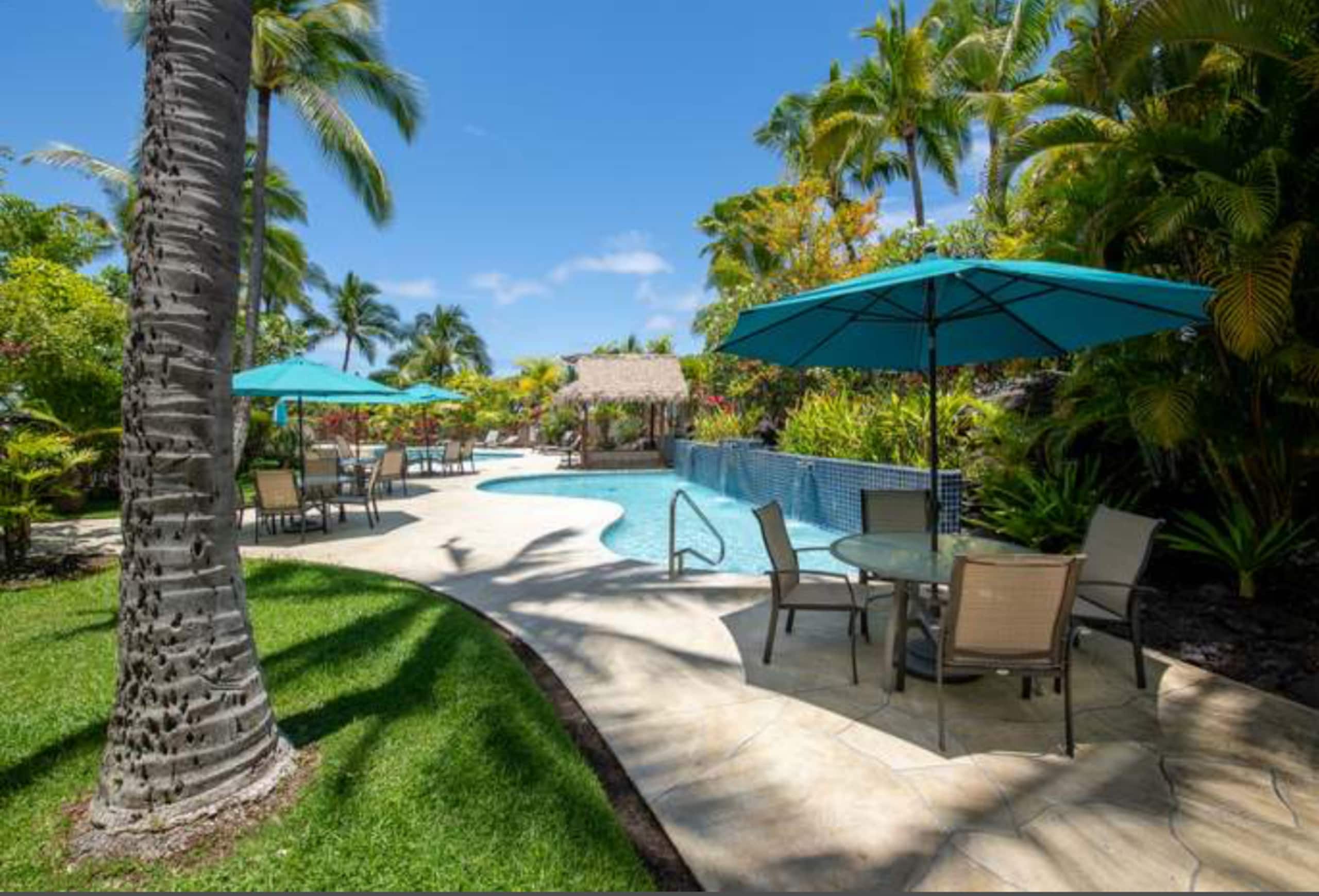 BRANDNew! Kona Bungalow II! Aug specials. Inquire! - Photo 21