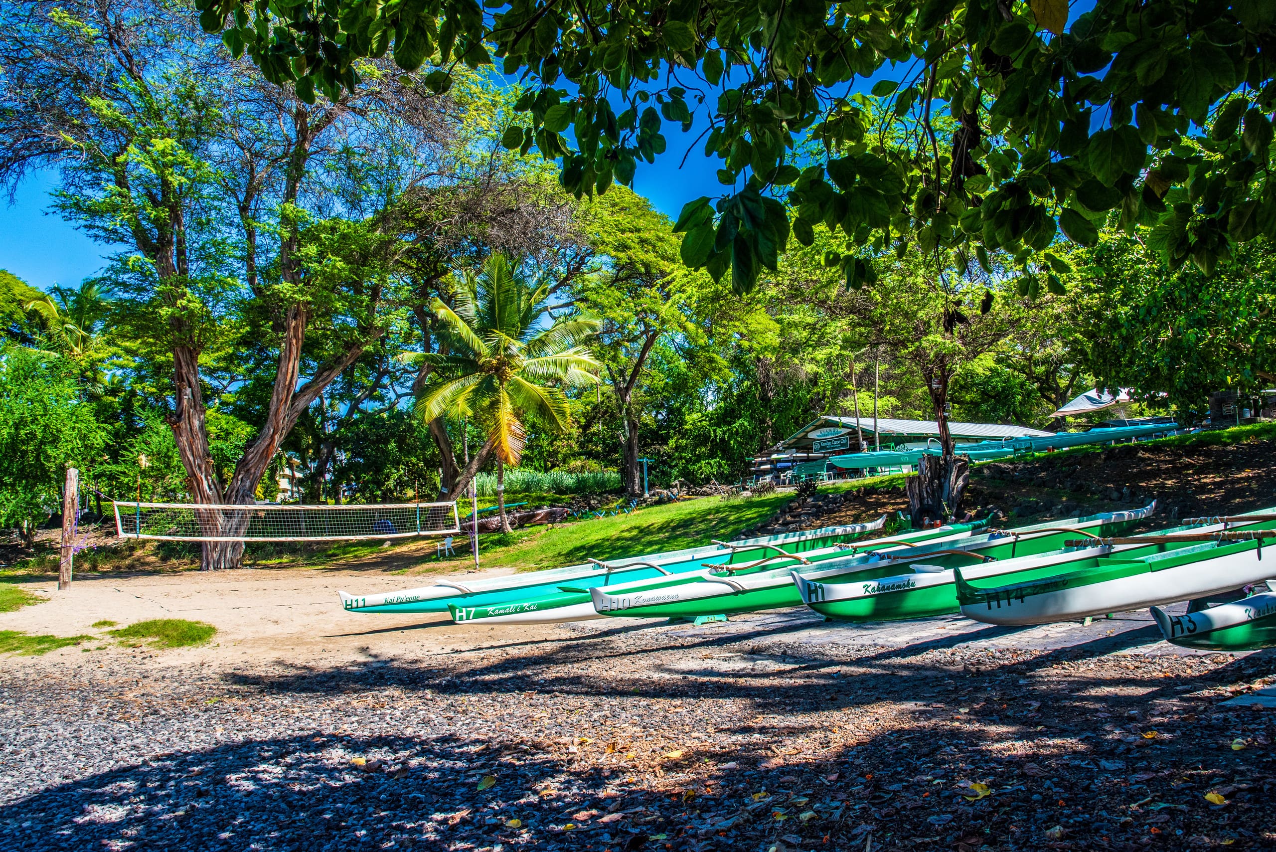BRANDNew! Kona Bungalow II! Aug specials. Inquire! - Photo 31