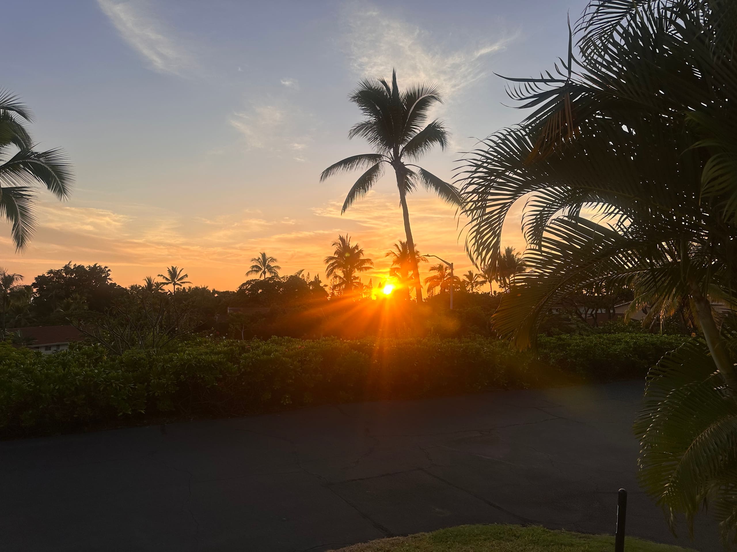BRANDNew! Kona Bungalow II! Aug specials. Inquire! - Photo 37