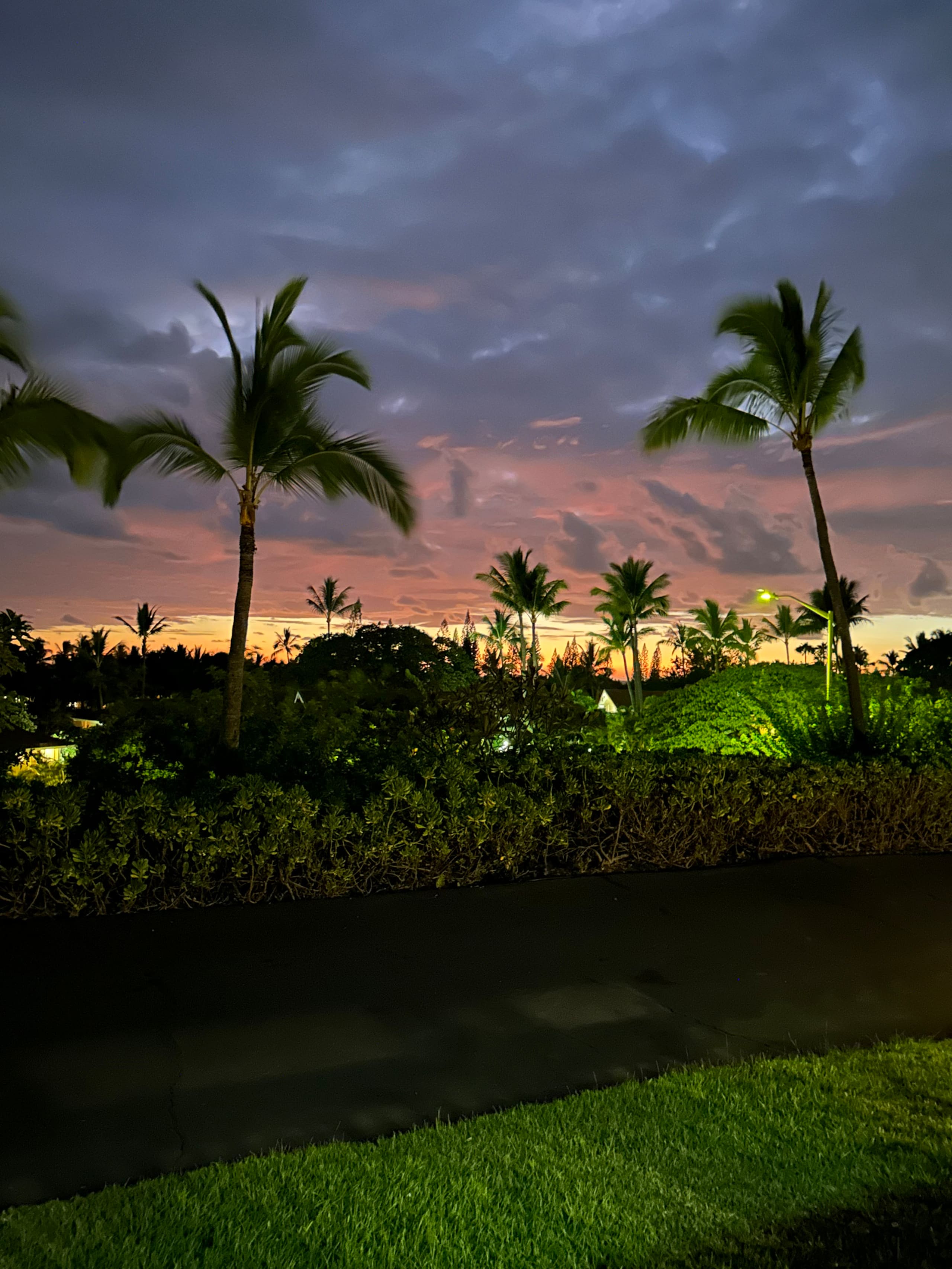 BRANDNew! Kona Bungalow II! Aug specials. Inquire! - Photo 30