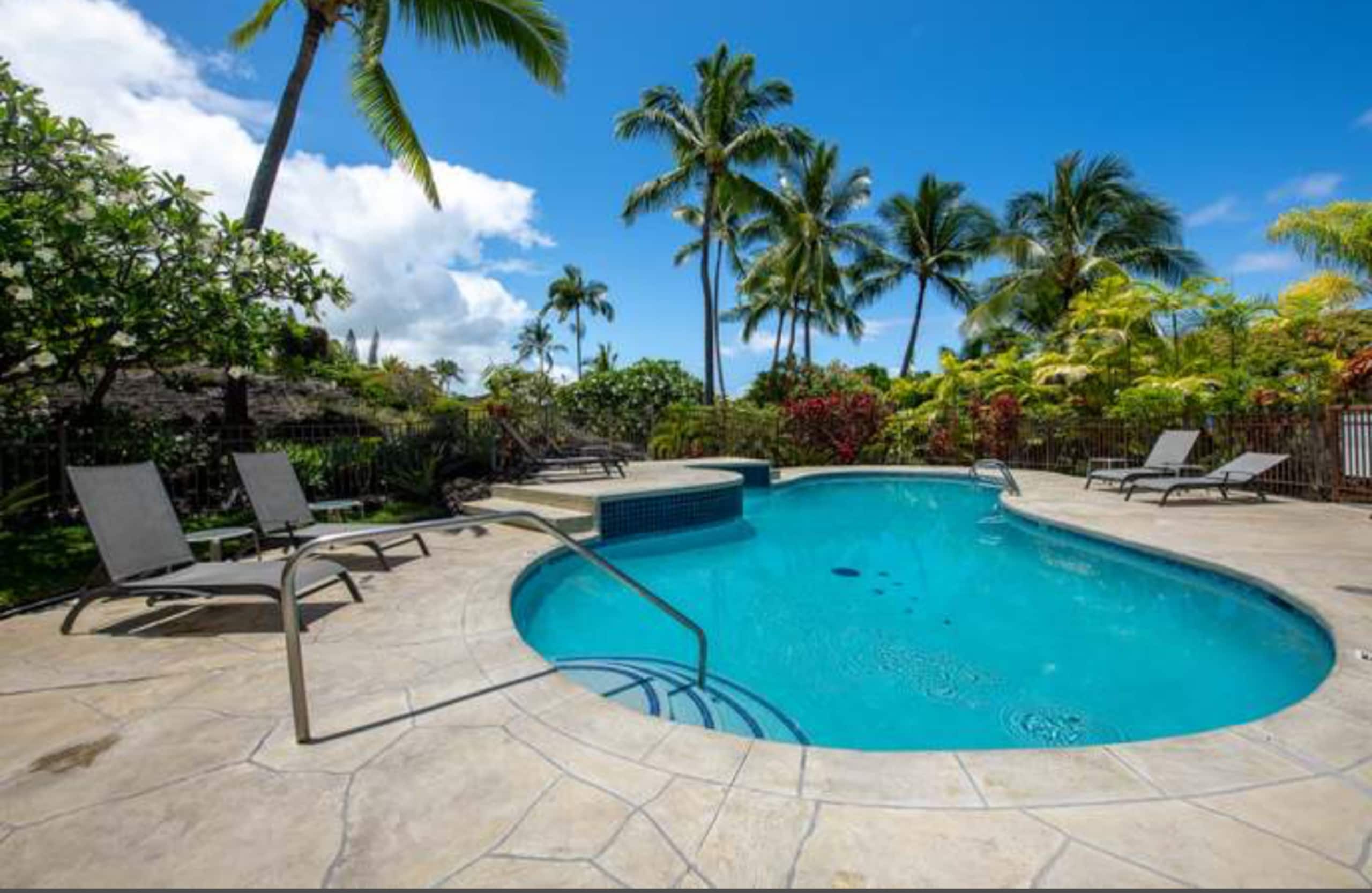 BRANDNew! Kona Bungalow II! Aug specials. Inquire! - Photo 22