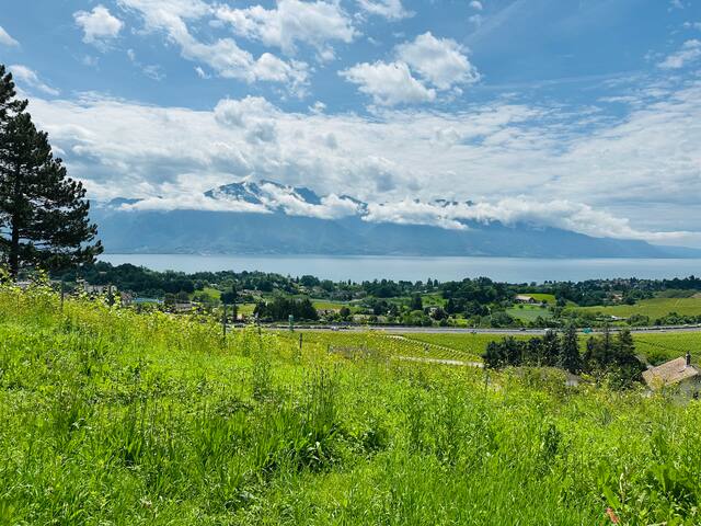 Grande maison individuelle, neuve et moderne gallery image 4