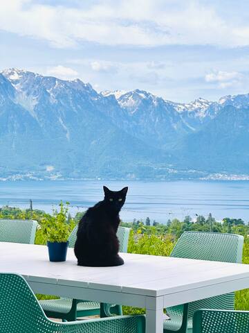 Grande maison individuelle, neuve et moderne