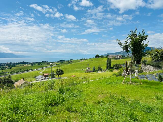 Grande maison individuelle, neuve et moderne gallery image 3