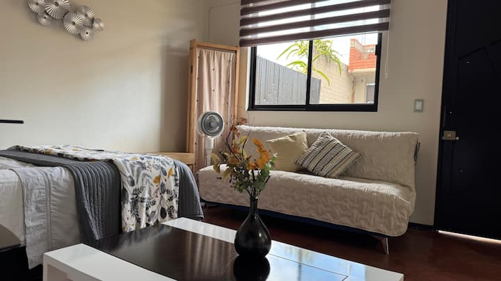 سرير أريكة.