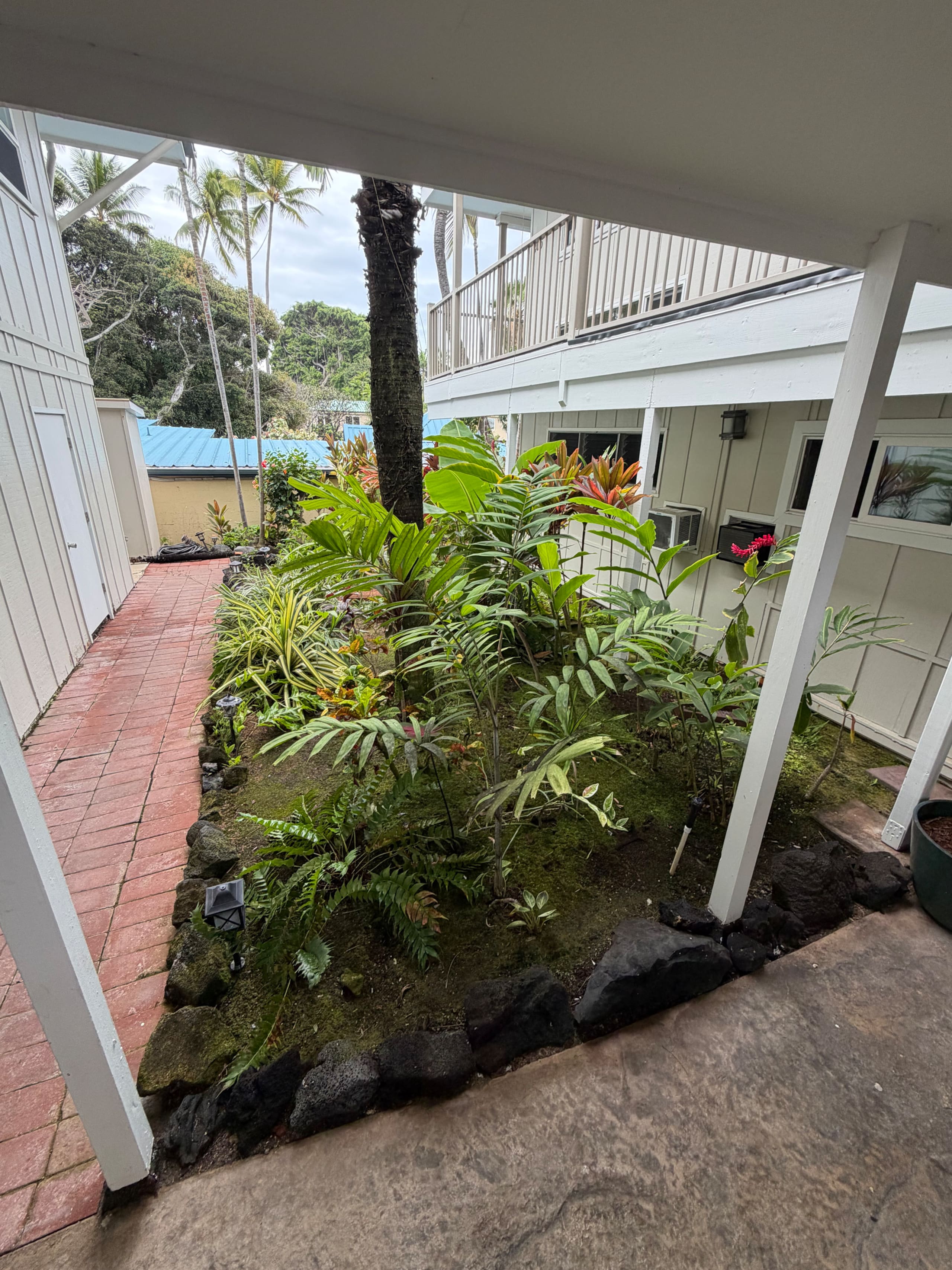 Condo in Kailua-Kona · ★4.95 · 1 bedroom · 2 beds · 1 bath - Image 46