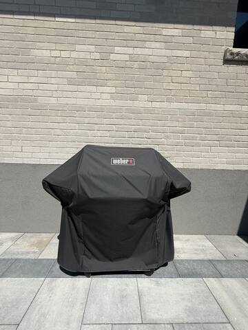 Noir & Nest gallery image 5