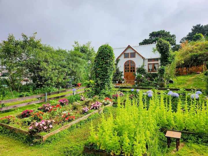 The Fairy House. Dalat - 大叻市