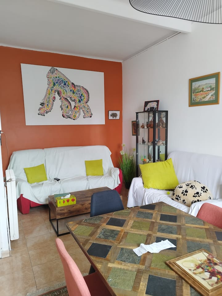 Louer Juillet Août à La Semaine - Perpignan