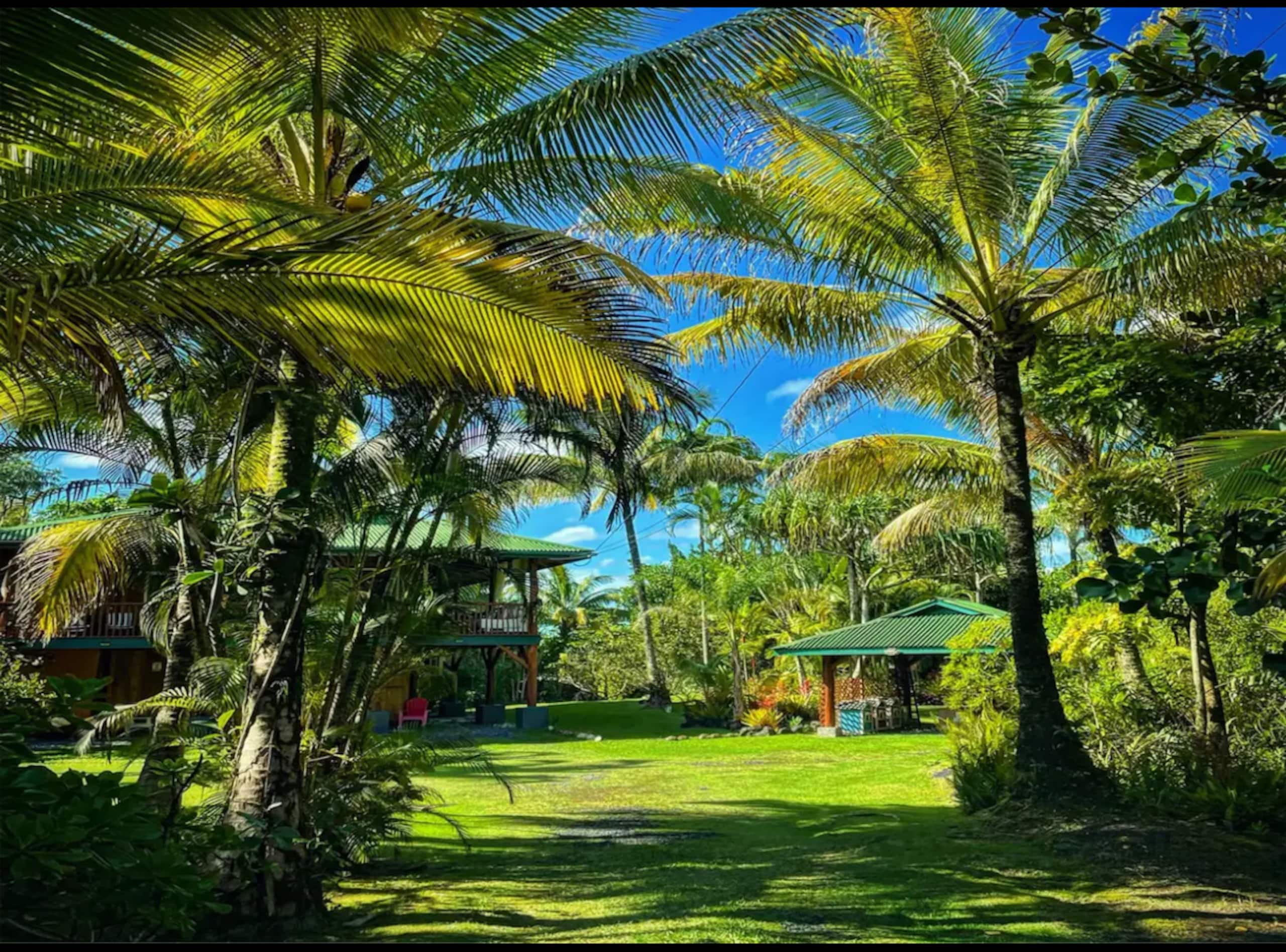 Home in Keaau · ★5.0 · 3 bedrooms · 4 beds · 1.5 private baths - Image 4
