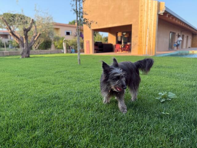 Empordà Soul, modern country house with pool gallery image 3